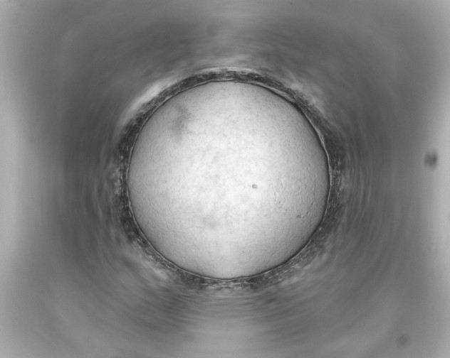 X0000093561159200711051032