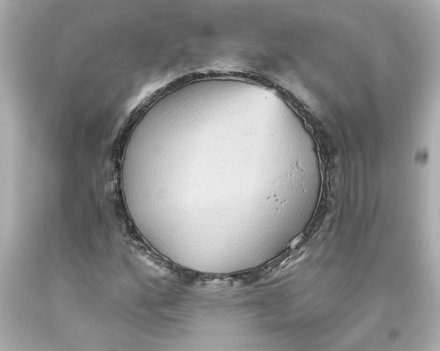 X0000093561160200711051032