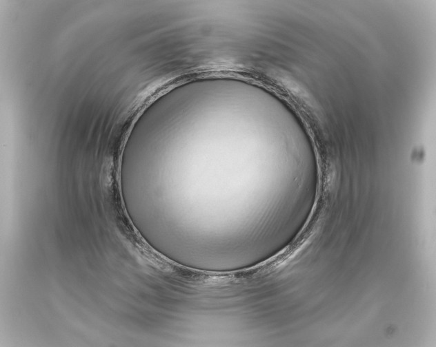 X0000093561161200711051032