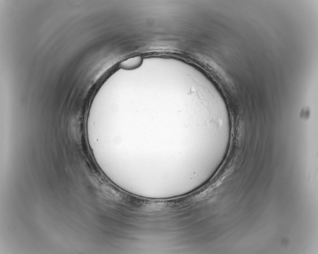 X0000093561162200711051032