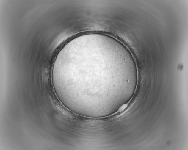 X0000093561163200711051032