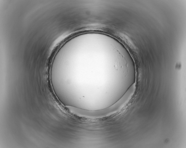 X0000093561164200711051032