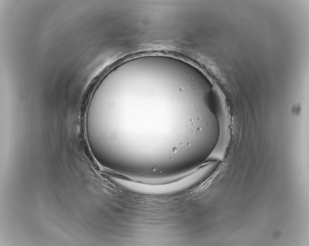 X0000093561165200711051032