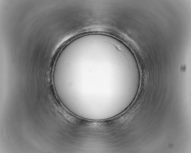 X0000093561166200711051032