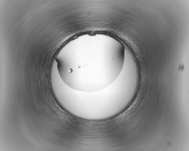 X0000093561169200711051032