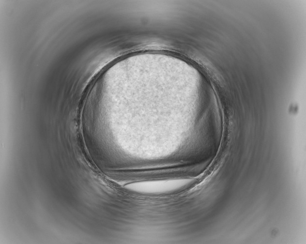 X0000093561170200711051032