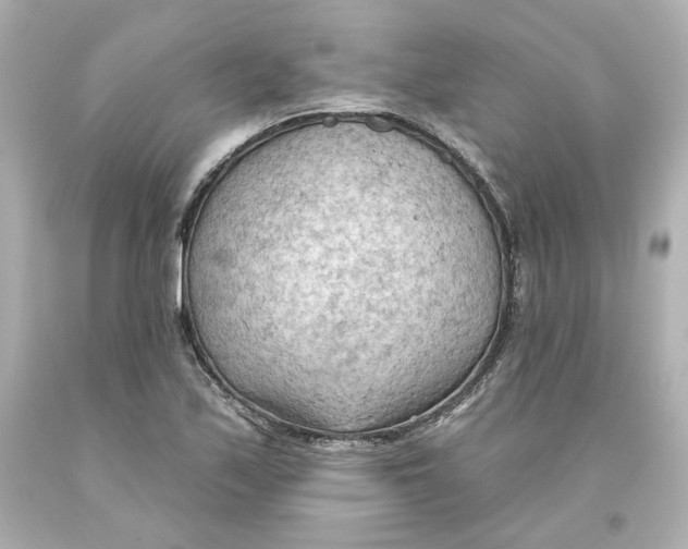 X0000093561171200711051032