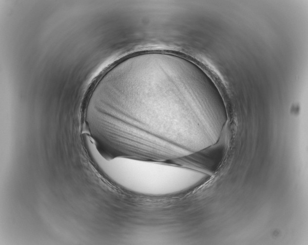 X0000093561173200711051031