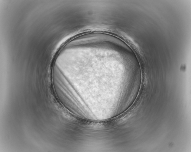 X0000093561174200711051031