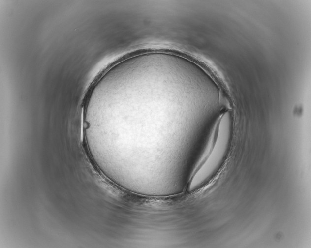 X0000093561175200711051031