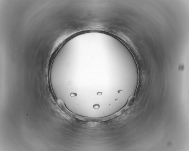 X0000093561176200711051031