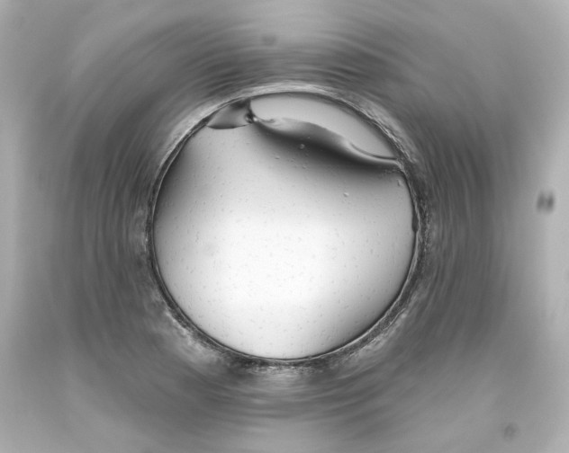 X0000093561177200711051031