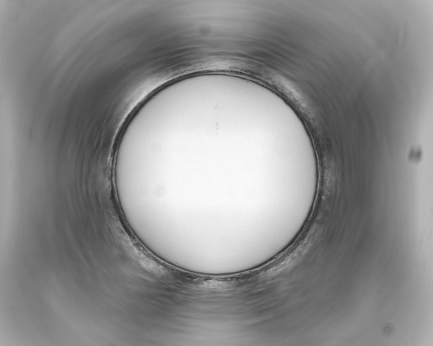 X0000093561178200711051031