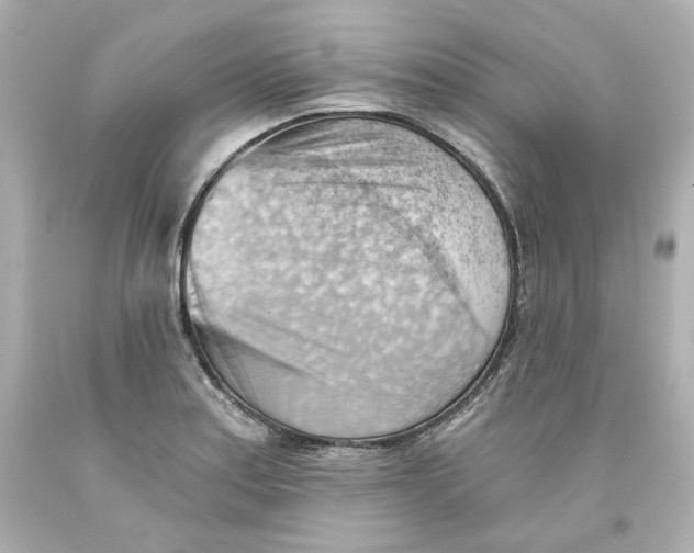 X0000093561179200711051031