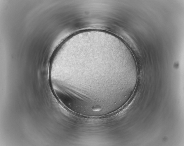 X0000093561180200711051031