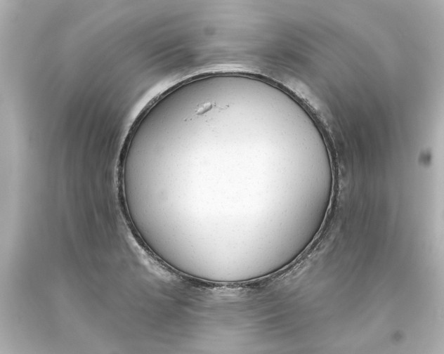 X0000093561181200711051031