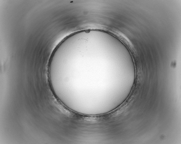 X0000093561182200711051031