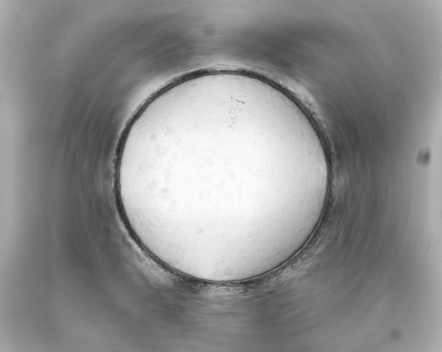 X0000093561183200711051031