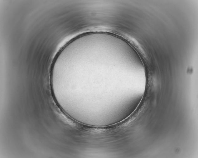 X0000093561184200711051031