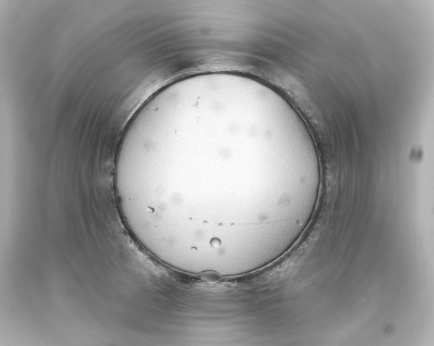 X0000093561185200711051031