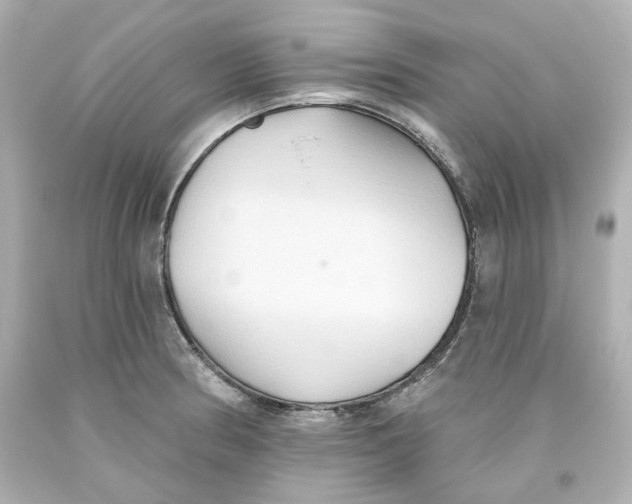 X0000093561186200711051031