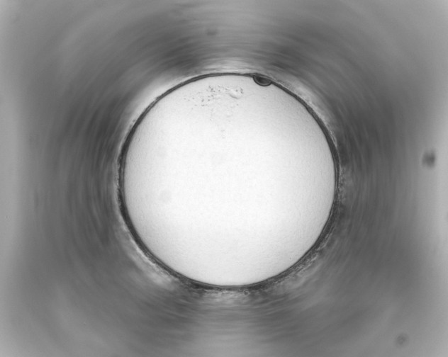 X0000093561187200711051031