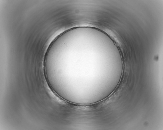 X0000093561189200711051031