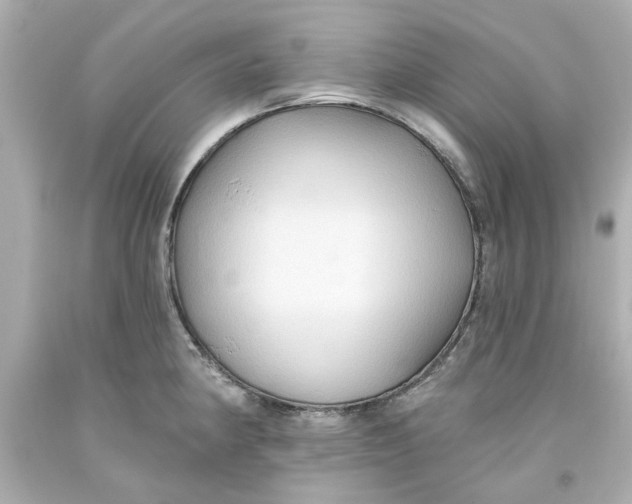 X0000093561190200711051031