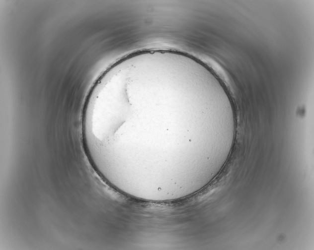 X0000093561191200711051031