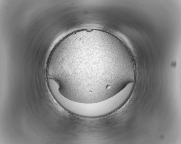 X0000093561192200711051031