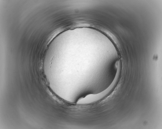 X0000093561193200711051031