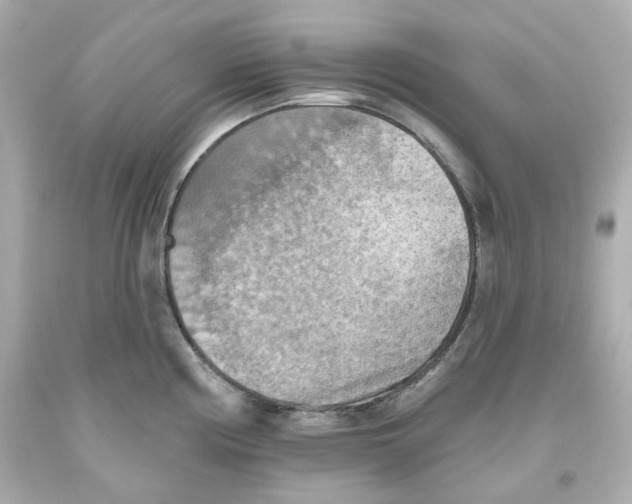 X0000093561194200711051031