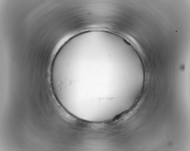 X0000093561196200711051031