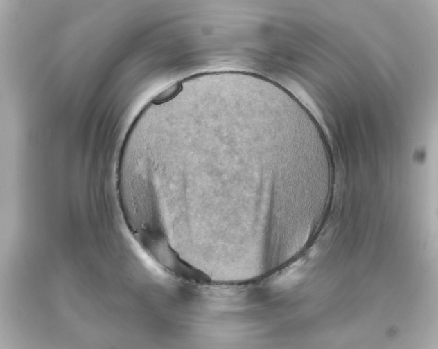 X0000093561197200711051031