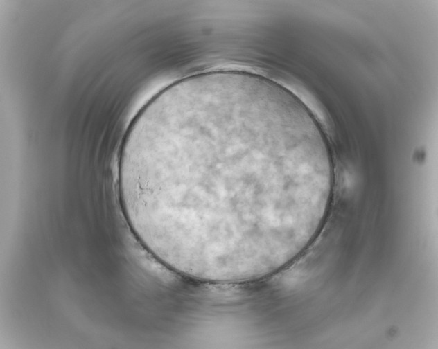 X0000093561198200711051031