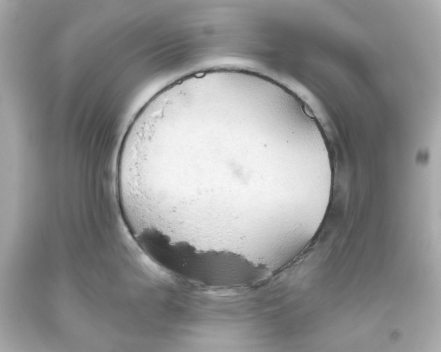 X0000093561199200711051031