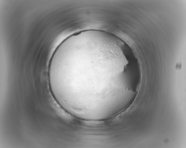 X0000093561200200711051031