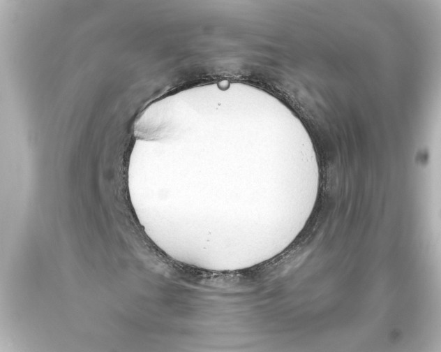 X0000093561201200711051031