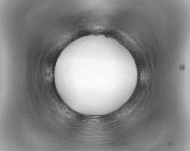 X0000093561204200711051031