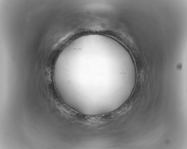 X0000093561205200711051031