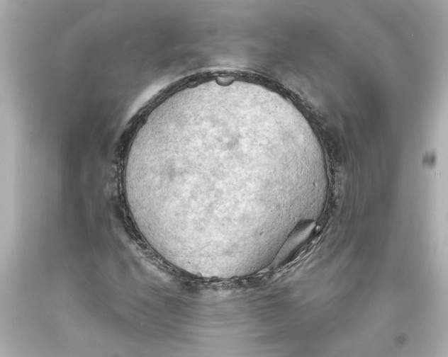 X0000093561208200711051031