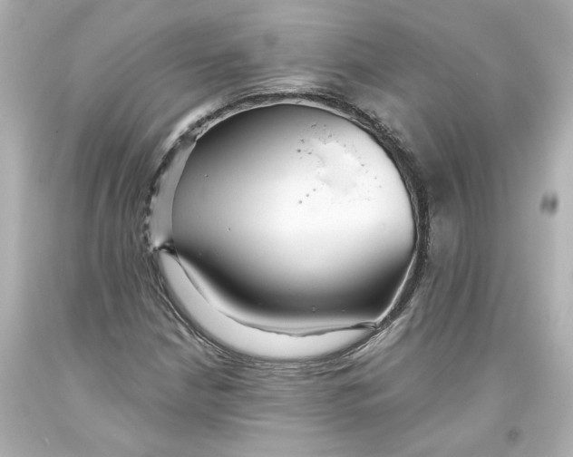 X0000093561210200711051031