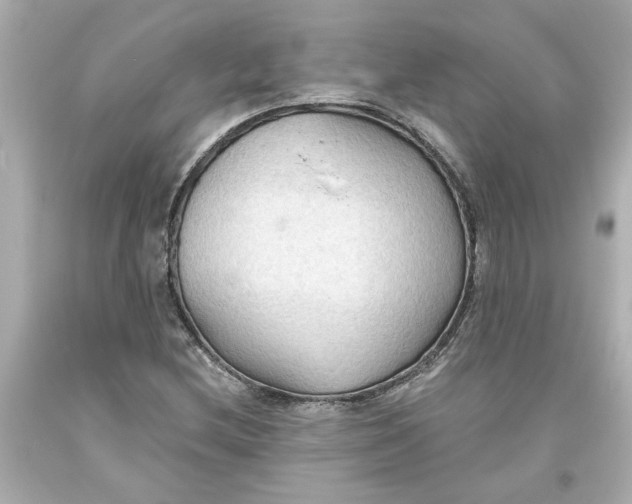 X0000093561212200711051031