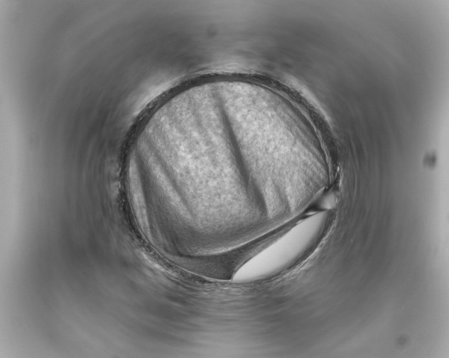 X0000093561213200711051031