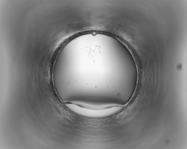 X0000093561214200711051031