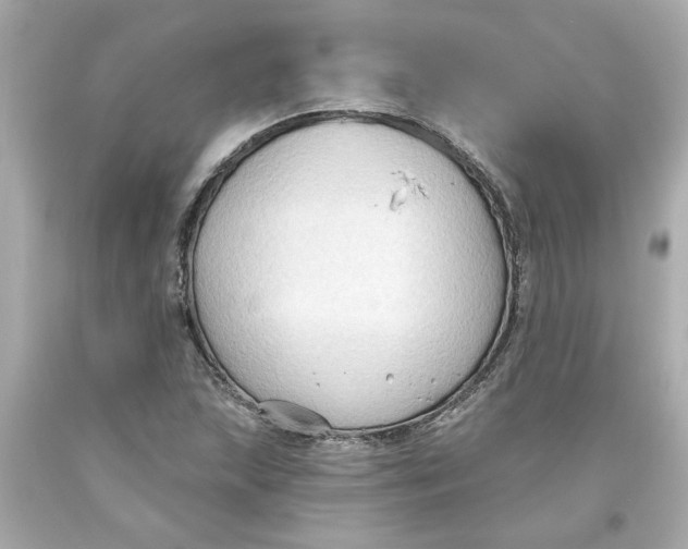 X0000093561215200711051031