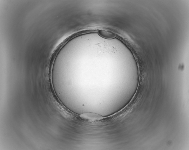 X0000093561216200711051031