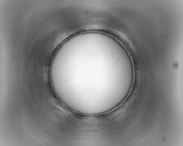 X0000093561217200711051031