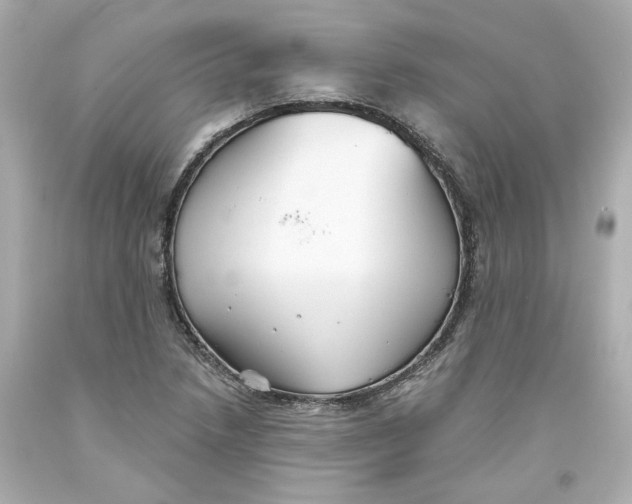 X0000093561218200711051031