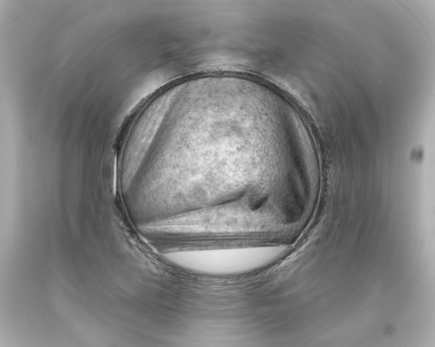 X0000093561219200711051031